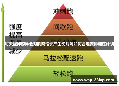 每天坚持游泳会对肌肉增长产生影响吗如何合理安排训练计划