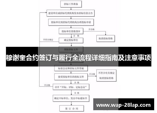 穆谢奎合约签订与履行全流程详细指南及注意事项