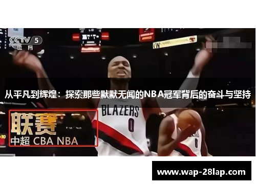 从平凡到辉煌：探索那些默默无闻的NBA冠军背后的奋斗与坚持