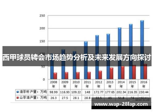 西甲球员转会市场趋势分析及未来发展方向探讨