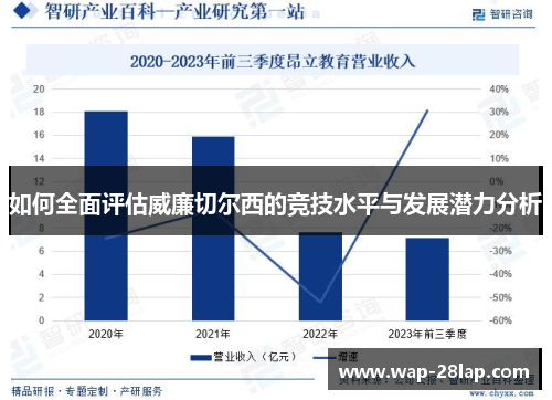 如何全面评估威廉切尔西的竞技水平与发展潜力分析