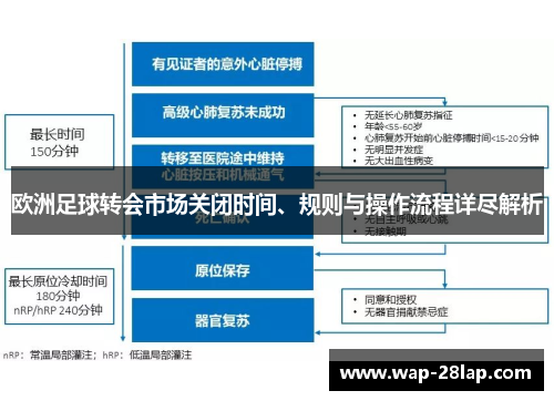 欧洲足球转会市场关闭时间、规则与操作流程详尽解析