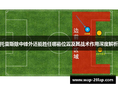 托雷斯除中锋外还能胜任哪些位置及其战术作用深度解析